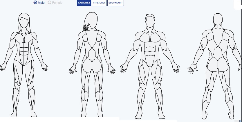 عقل سالم در بدن سالم چگونه؟